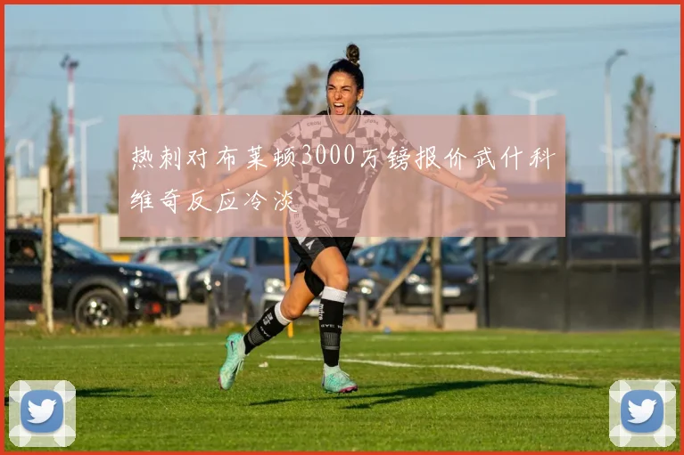热刺对布莱顿3000万镑报价武什科维奇反应冷淡
